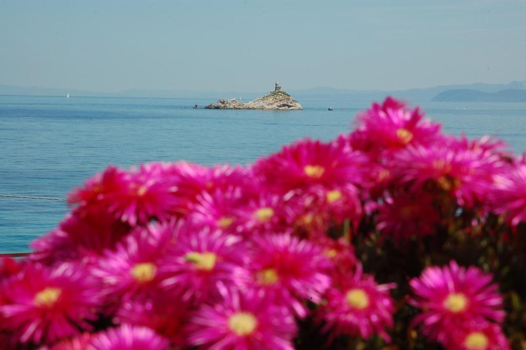Hotel Villa Ombrosa Portoferraio Værelse billede